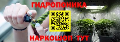 хмурый Малгобек