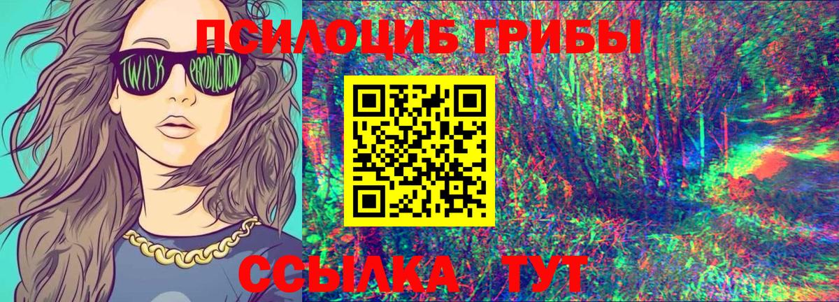 Псилоцибиновые грибы мицелий Электросталь
